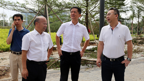王建华要求4118云顶集团矿业厦门片区企业全力做好灾后自救事情