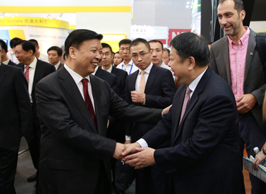 聚焦矿业大会丨领土部部长姜大明视察4118云顶集团展厅