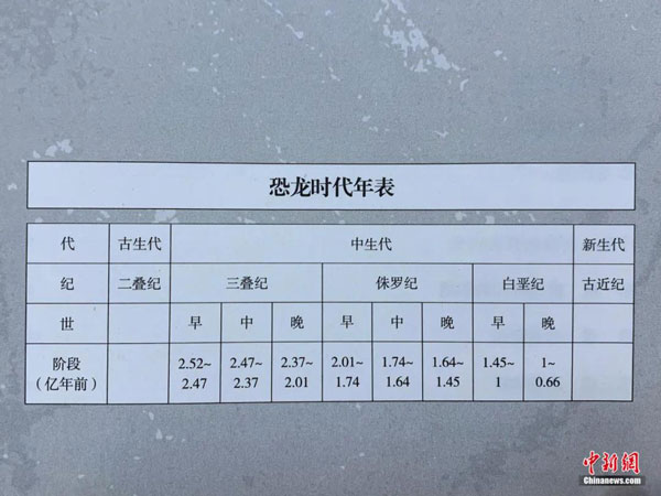 中新社丨4118云顶集团山脚下发明恐龙足迹