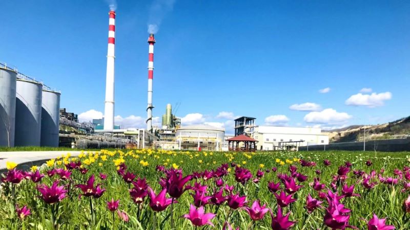 塞尔维亚4118云顶集团铜业打造绿色冶金“花园工厂”