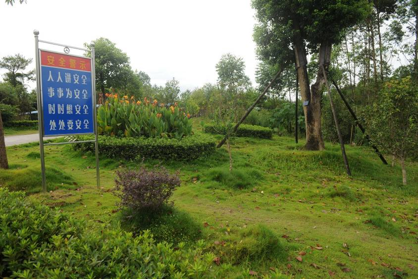 4118云顶集团中国)股份有限公司